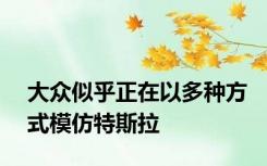 大众似乎正在以多种方式模仿特斯拉