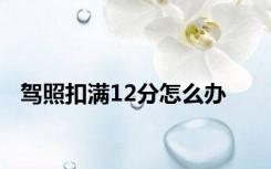 驾照扣满12分怎么办
