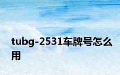 tubg-2531车牌号怎么用