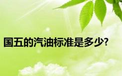国五的汽油标准是多少?