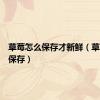 草莓怎么保存才新鲜（草莓怎么保存）