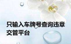 只输入车牌号查询违章 交管平台