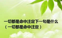 一切都是命中注定下一句是什么（一切都是命中注定）