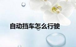 自动挡车怎么行驶