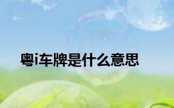 粤i车牌是什么意思