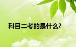 科目二考的是什么?