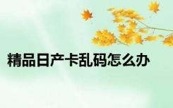 精品日产卡乱码怎么办