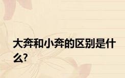大奔和小奔的区别是什么?