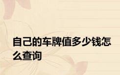 自己的车牌值多少钱怎么查询