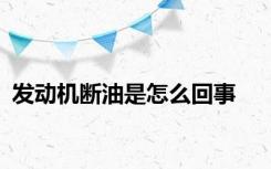 发动机断油是怎么回事