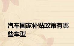 汽车国家补贴政策有哪些车型