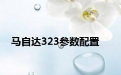 马自达323参数配置