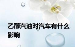 乙醇汽油对汽车有什么影响