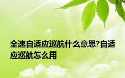全速自适应巡航什么意思?自适应巡航怎么用