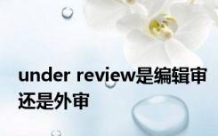 under review是编辑审还是外审