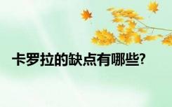 卡罗拉的缺点有哪些?