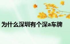 为什么深圳有个深a车牌