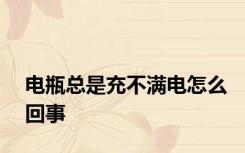 电瓶总是充不满电怎么回事