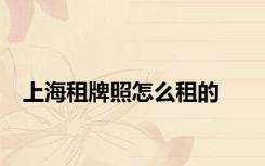上海租牌照怎么租的