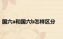 国六a和国六b怎样区分