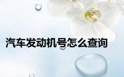 汽车发动机号怎么查询