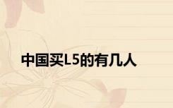 中国买L5的有几人