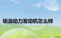钜浪动力发动机怎么样