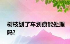 树枝划了车划痕能处理吗?