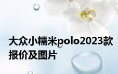 大众小糯米polo2023款报价及图片