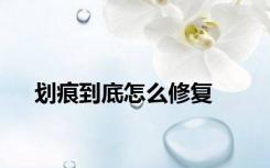 划痕到底怎么修复