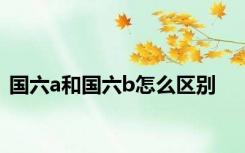 国六a和国六b怎么区别