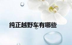 纯正越野车有哪些