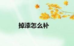掉漆怎么补