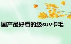 国产最好看的级suv卡毛
