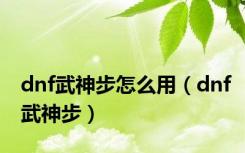 dnf武神步怎么用（dnf武神步）