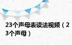 23个声母表读法视频（23个声母）