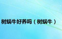 树蜗牛好养吗（树蜗牛）