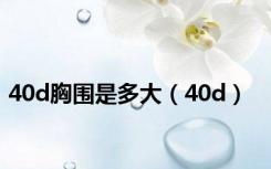 40d胸围是多大（40d）