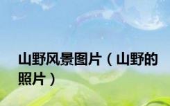 山野风景图片（山野的照片）