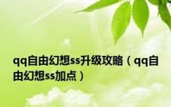 qq自由幻想ss升级攻略（qq自由幻想ss加点）
