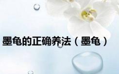 墨龟的正确养法（墨龟）