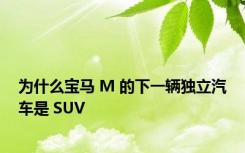 为什么宝马 M 的下一辆独立汽车是 SUV