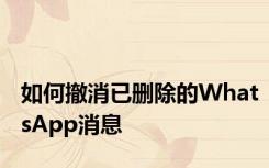如何撤消已删除的WhatsApp消息