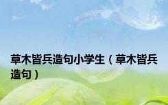 草木皆兵造句小学生（草木皆兵造句）