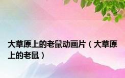 大草原上的老鼠动画片（大草原上的老鼠）