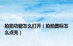 拍拍功能怎么打开（拍拍图标怎么点亮）