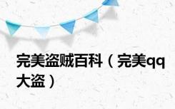 完美盗贼百科（完美qq大盗）