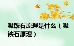 吸铁石原理是什么（吸铁石原理）