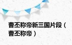 曹丕称帝新三国片段（曹丕称帝）