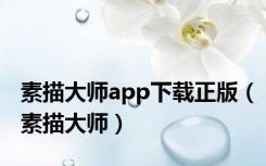 素描大师app下载正版（素描大师）